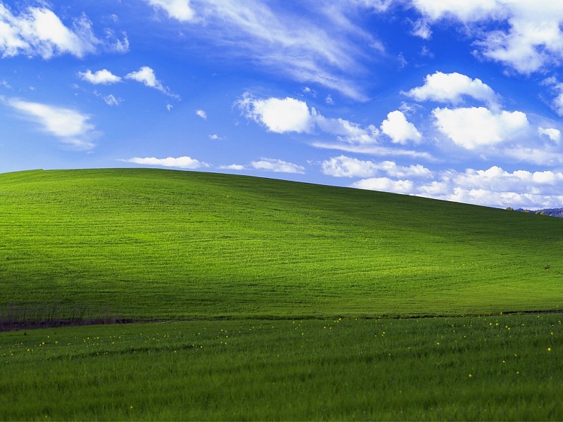 Microsoft Harus Bayar Rp1,3 Miliar untuk Wallpaper Windows XP