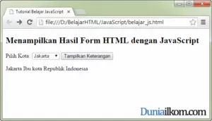 Cara Menampilkan Hasil Form HTML dengan JavaScript