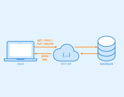 Apa itu Web API