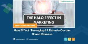 halo effect