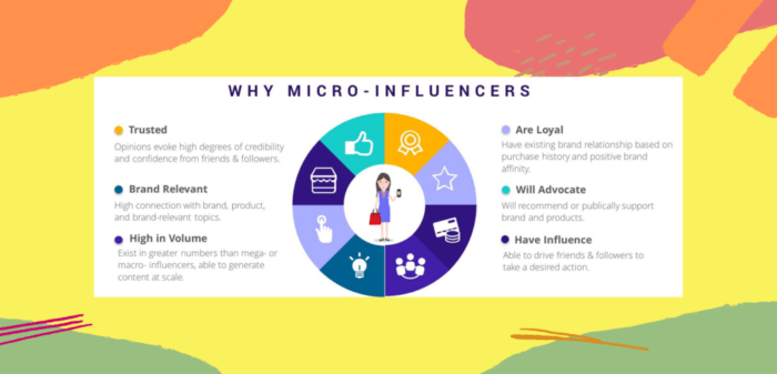 kol micro influencer