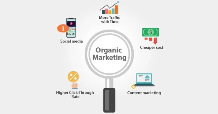 social media organic marketing